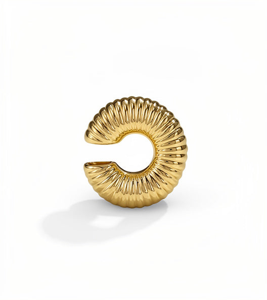 Argola Toque de Ouro